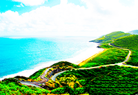 为什么富豪和明星纷纷选择圣基茨护照？