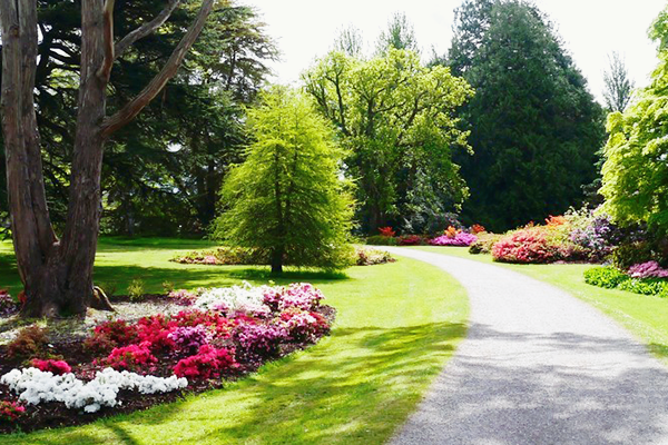 爱尔兰投资移民的方法有哪几种？