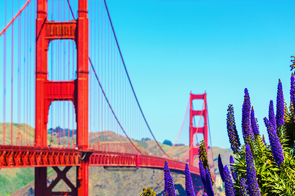 什么是美国EB1C移民计划？美国EB1C移民计划要求