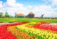 荷兰移民的申请条件和优势详解！