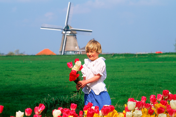 移民荷兰享受美好新生活