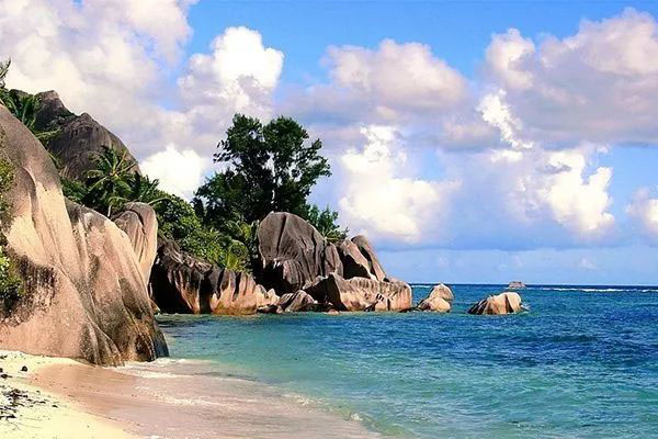 几内亚比绍护照，助力子女轻松入读国际学校