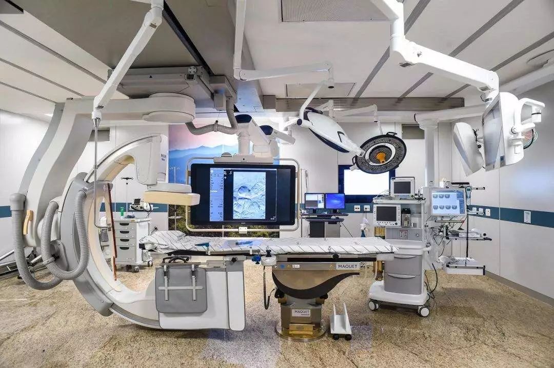 马耳他优势学科