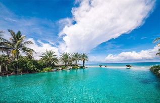 为什么移民多米尼克，这些政策福利就是你心动的理由