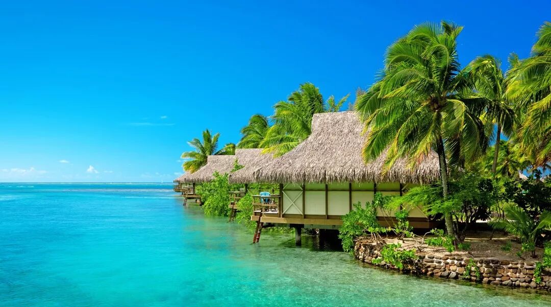 全球资产配置：一本圣基茨护照助您完成