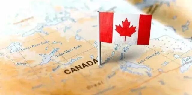 2020哪项加拿大移民项目，最适合自己？