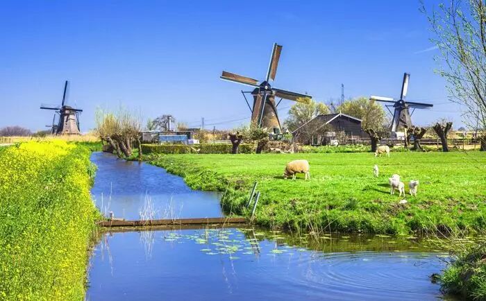 四个无法拒绝的理由，告诉你为什么要移民荷兰？