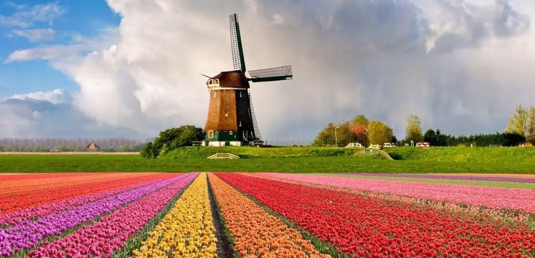 <b>荷兰移民需要了解的荷兰七大文化</b>