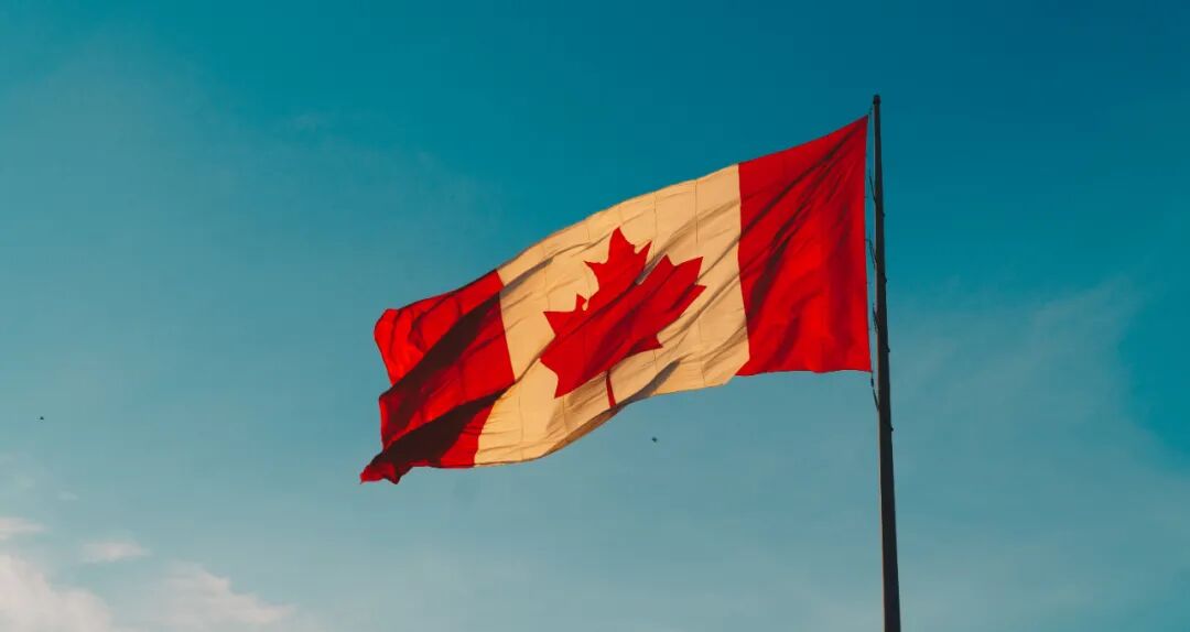 2021年加拿大移民项目如何选成功率才更高？