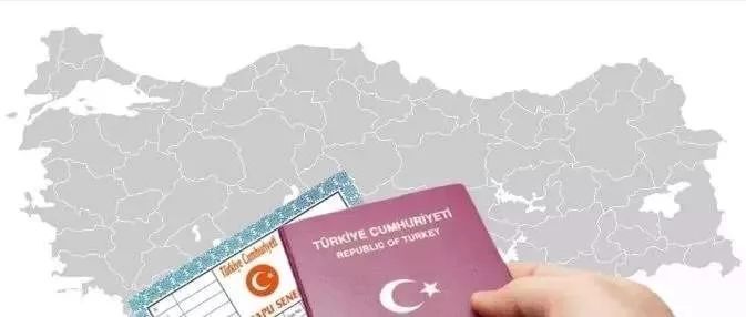 土耳其护照移民